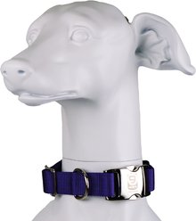 Blue-9 Pet Products Secure Pro Dog Collar, Purple, Large: 16 to 26-in neck, 1-in wide