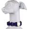 Show in main carousel: Blue-9 Pet Products Secure Pro Dog Collar, Purple, Large: 16 to 26-in neck, 1-in wide slide 1 of 6