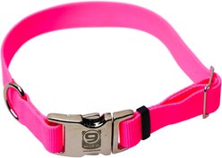 Blue-9 Pet Products Secure Pro Dog Collar, Hot Pink, Small: 9 to 14-in neck, 5/8-in wide
