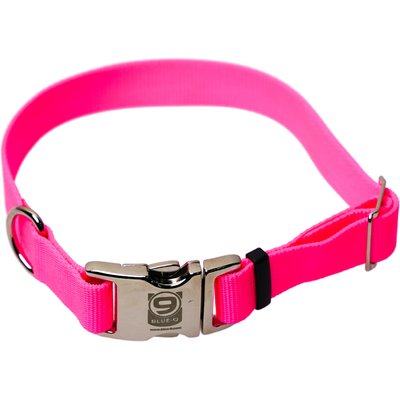 Blue-9 Blue-9 Pet Products Secure Pro Dog Collar, Hot Pink, Medium: 13 to 20-in neck, 1-in wide