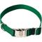Show in main carousel: Blue-9 Pet Products Secure Pro Dog Collar, Hunter Green, Large: 16 to 26-in neck, 1-in wide slide 1 of 3