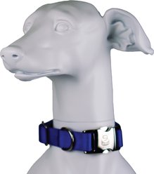 Blue-9 Pet Products Secure Pro Dog Collar, Blue, Large: 16 to 26-in neck, 1-in wide