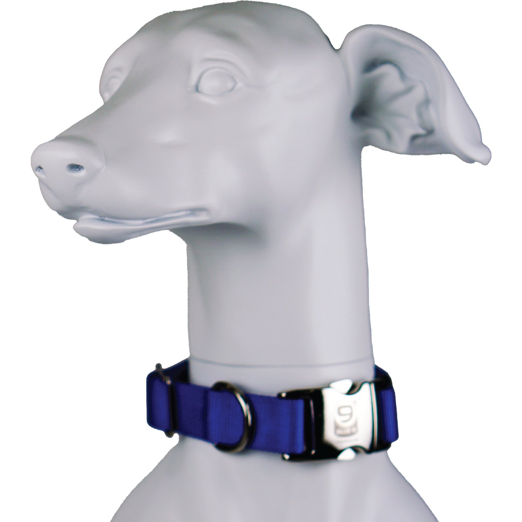 Blue-9 Pet Products Secure Pro Dog Collar, Blue, Medium: 13 to 20-in neck, 1-in wide