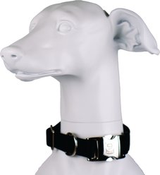 Blue-9 Secure Pro Dog Collar, Black, Small: 9 to 14-in neck, 5/8-in wide