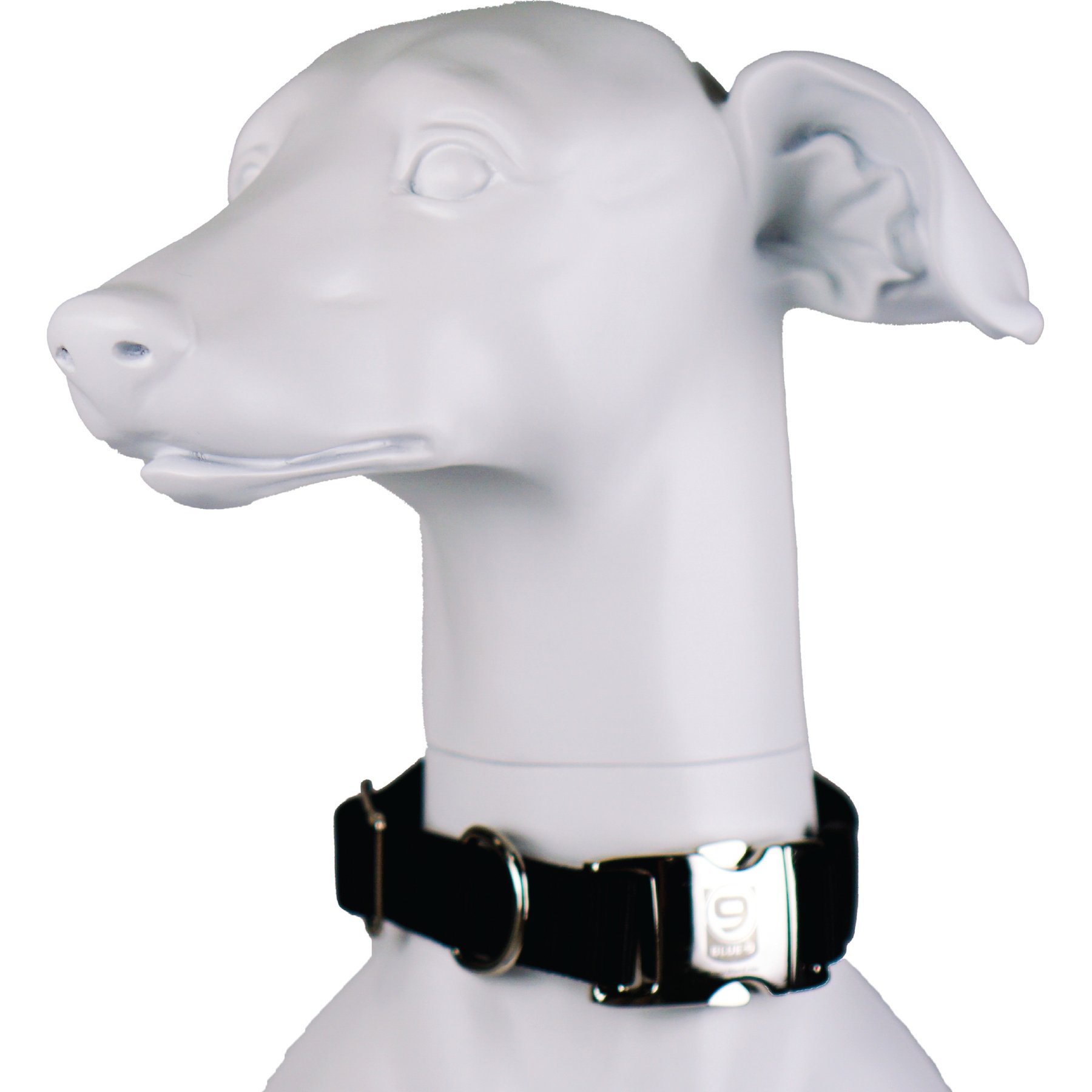 Blue-9 Pet Products Secure Pro Dog Collar, Black, Small: 9 to 14-in neck, 5/8-in wide