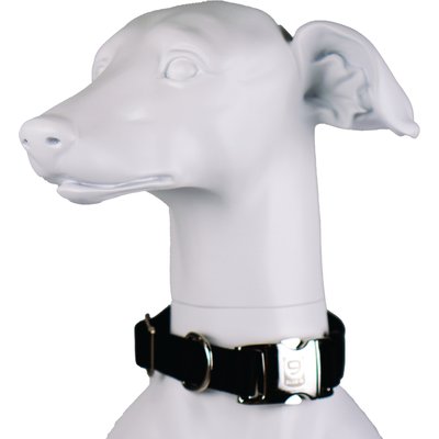Blue-9 Blue-9 Pet Products Secure Pro Dog Collar, Black, Medium: 13 to 20-in neck, 1-in wide