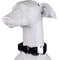Show in main carousel: Blue-9 Pet Products Secure Pro Dog Collar, Black, Medium: 13 to 20-in neck, 1-in wide slide 1 of 6