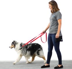 Blue-9 Pet Products Multi-Function Double Attachment Hands-Free Dog Leash, Hot Pink, Small/Medium: 6-ft long, 5/8-in wide slide 2 of 2