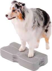 Blue-9 Propel Air Training Platform, Gray