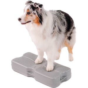 BLUE-9 Propel Air Training Platform, Gray - Chewy.com