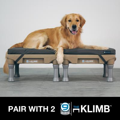 Show full view: Blue-9 Pet Products Restore Washable Double Dog & Cat Bed, Gray, 24 x 48-in slide 4 of 7