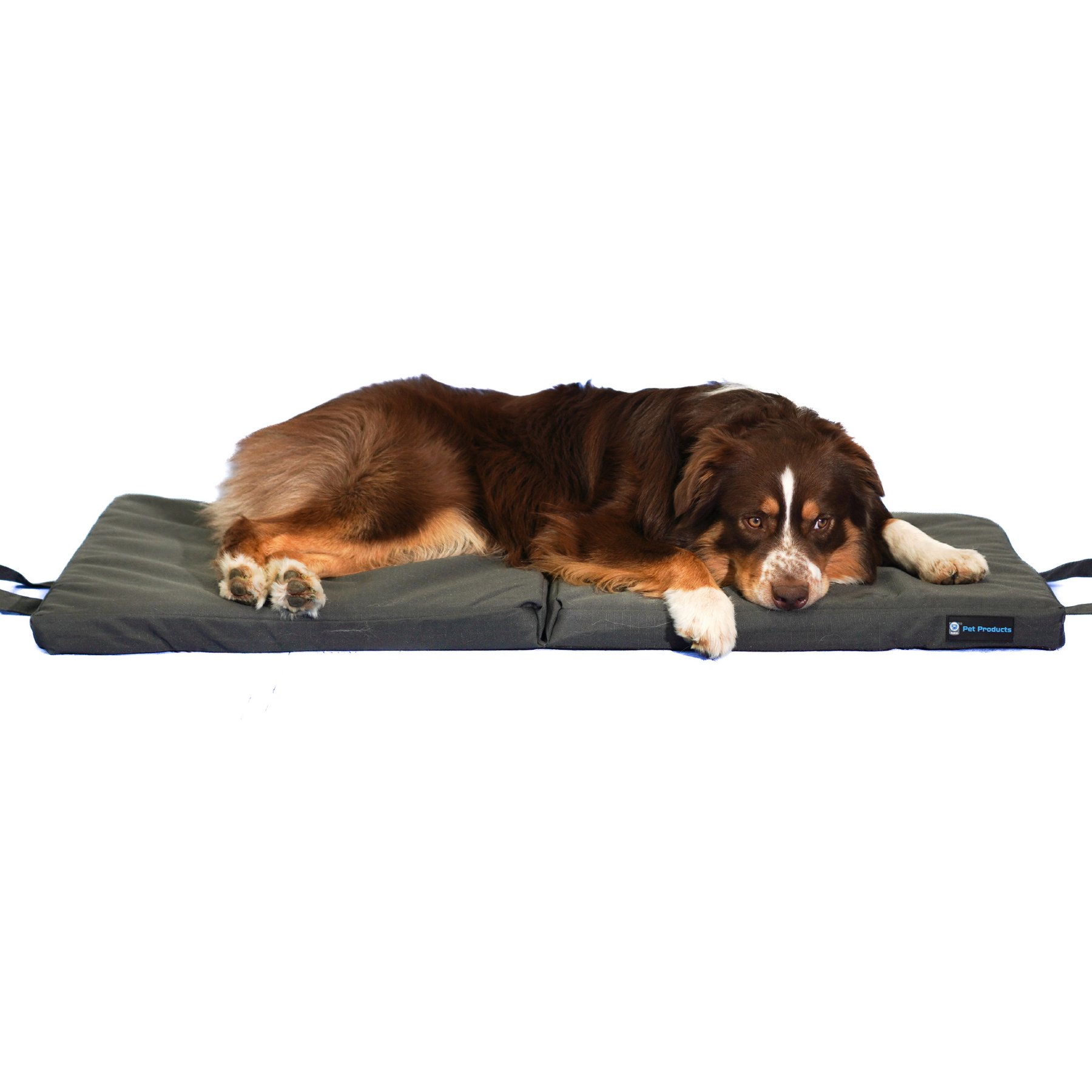 Blue-9 Pet Products Restore Washable Double Dog & Cat Bed, Gray, 24 x 48-in