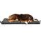 Show in main carousel: Blue-9 Pet Products Restore Washable Double Dog & Cat Bed, Gray, 24 x 48-in slide 1 of 7