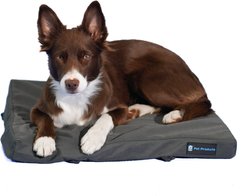 Blue-9 Pet Products Restore Washable Dog & Cat Bed, Gray, 24 x 24-in