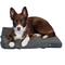 Show in main carousel: Blue-9 Pet Products Restore Washable Dog & Cat Bed, Gray, 24 x 24-in slide 1 of 7