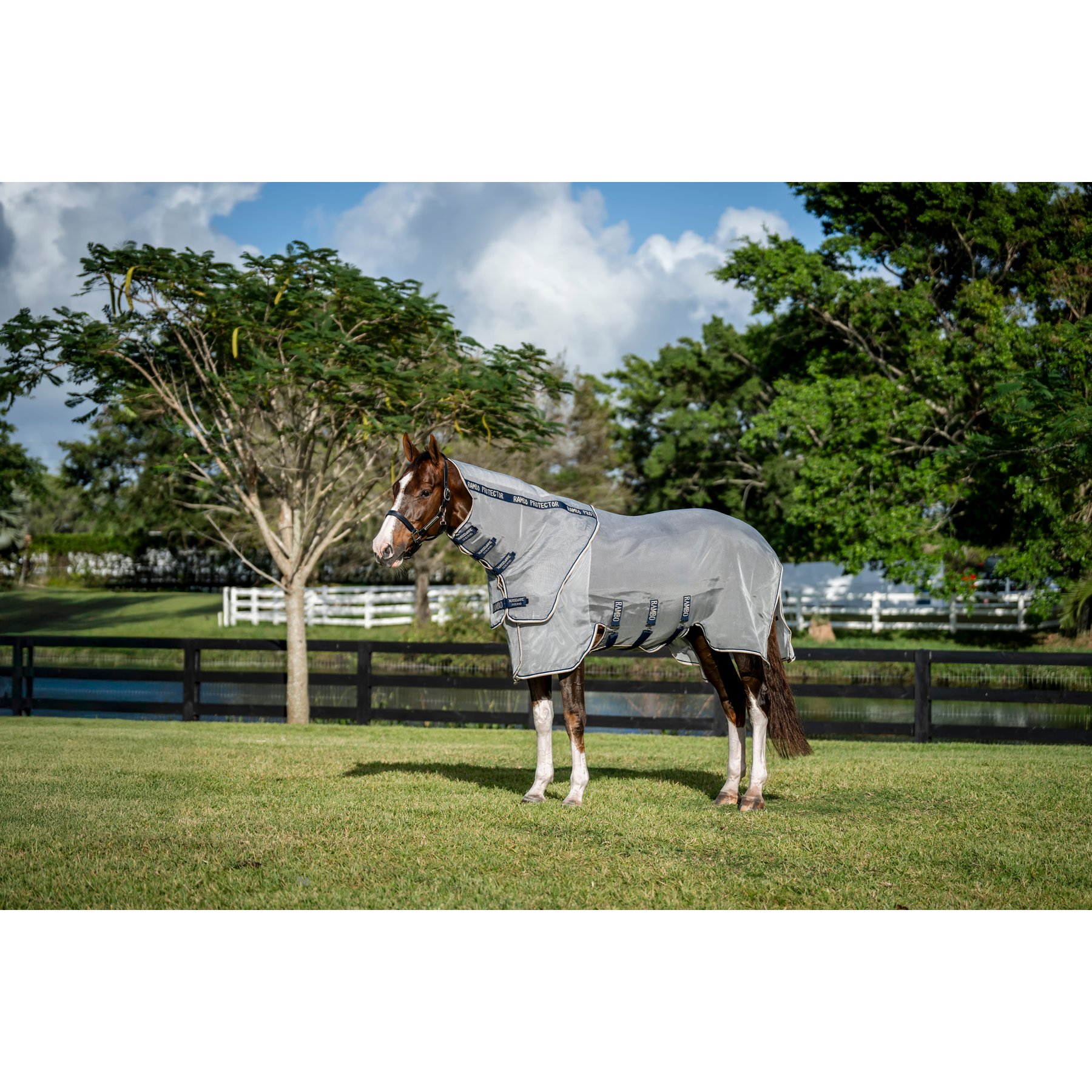 Horseware Rambo Protector Fieldsafe Plus Horse Fly Sheet, Silver with Navy, White & Beige, 75-in