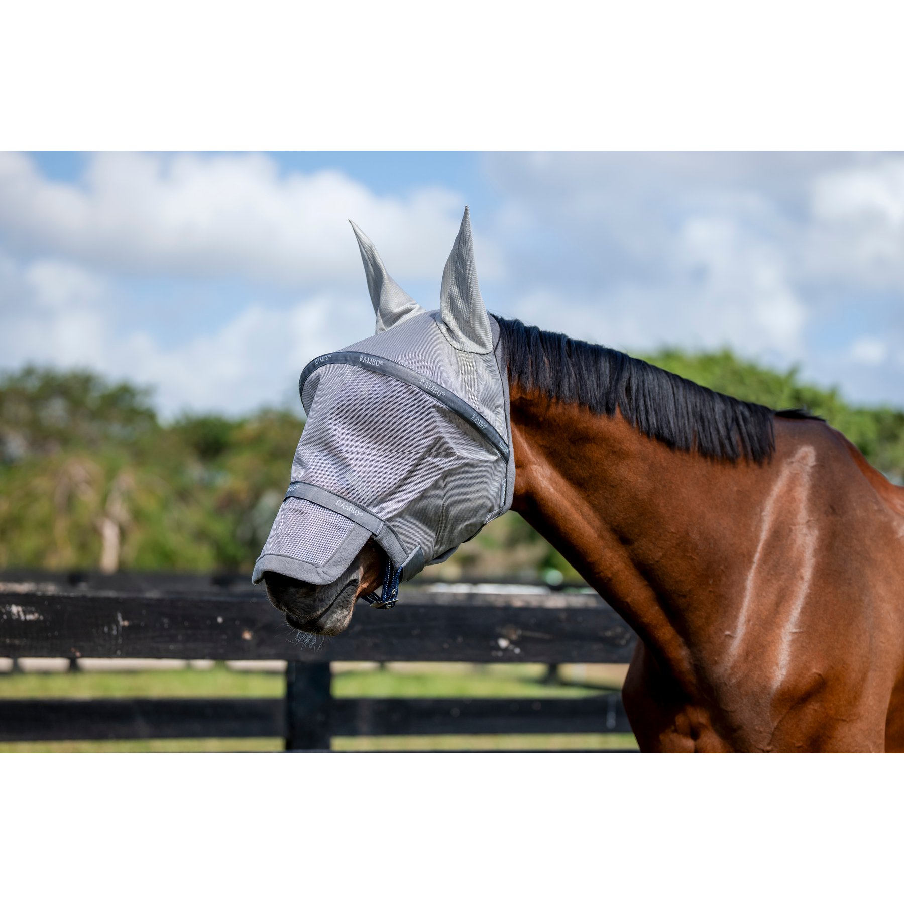 Horseware Rambo Horse Fly Mask, Silver with Titanium Grey & Silver, Small Pony