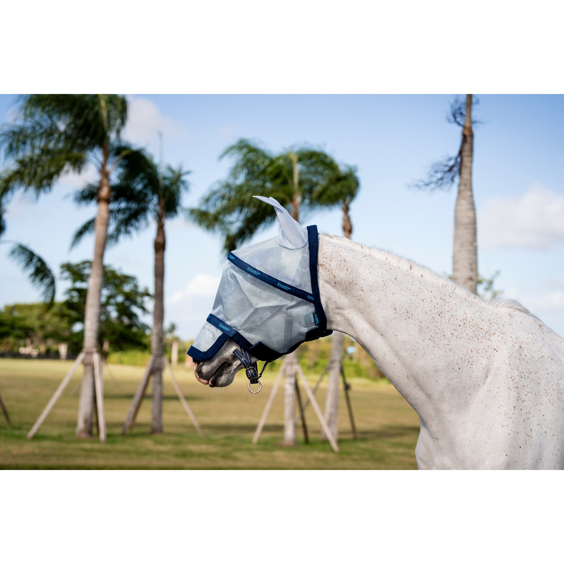 Horseware Rambo Horse Fly Mask, Azure Blue with Navy & Electric Blue, Small Pony