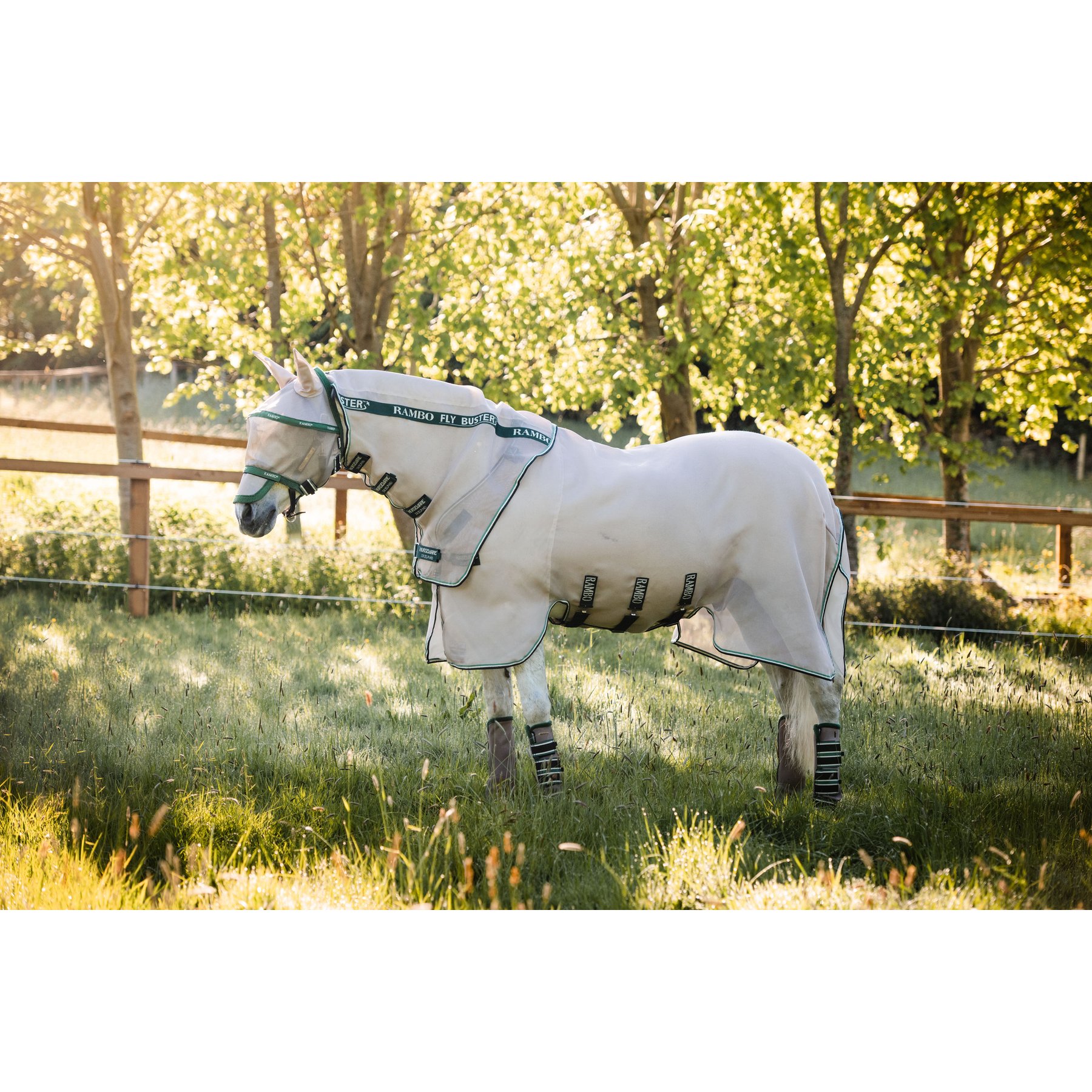 Horseware Rambo Flybuster Vamoose No Fly Zone Horse Fly Sheet, Oatmeal/Sage, 84-in