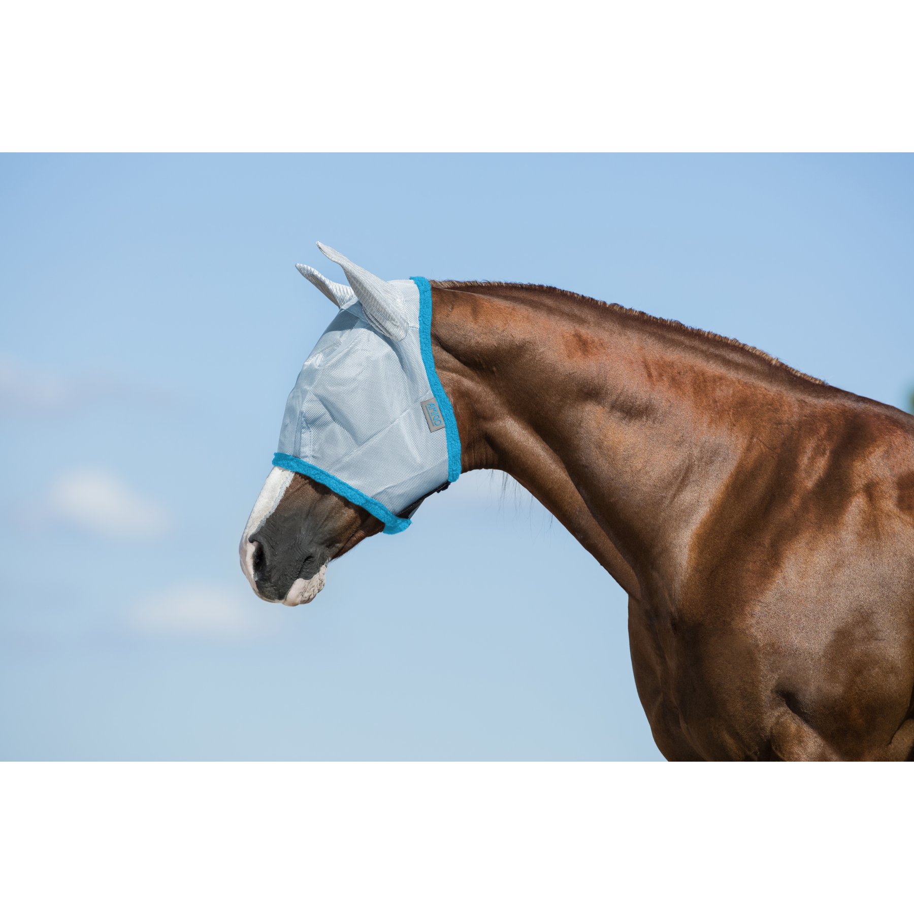 Horseware Amigo Horse Fly Mask, Baby Blue & Electric Blue, Small Pony