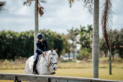 Show full view: Amigo Flyrider Horse Fly Sheet, Silver with Titanium Grey & Silver, Large slide 3 of 5