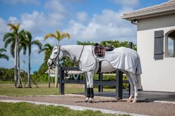 Amigo Flyrider Horse Fly Sheet, Silver with Titanium Grey & Silver, Large