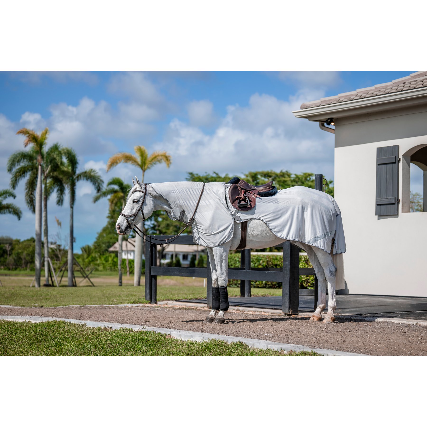 Horseware Amigo Flyrider Horse Fly Sheet, Silver with Titanium Grey & Silver, Medium