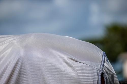 Show full view: Amigo Bug Rug Plus Horse Fly Sheet, Silver with Titanium Grey & Silver, 75-in slide 2 of 2