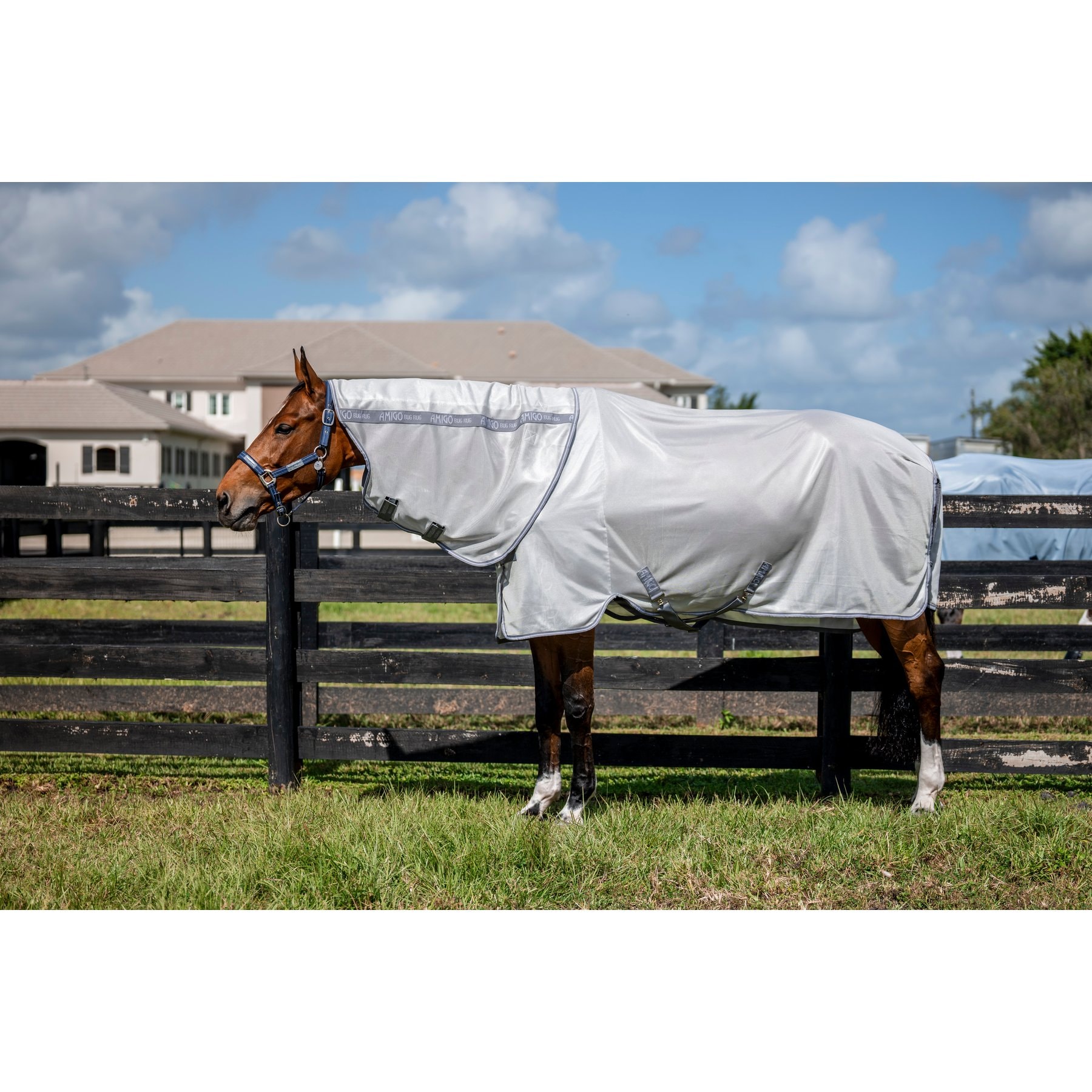 Horseware Amigo Bug Rug Plus Horse Fly Sheet, Silver with Titanium Grey & Silver, 84-in