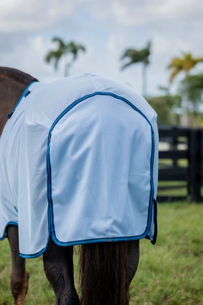 Amigo Bug Rug Horse Fly Sheet, Azure Blue