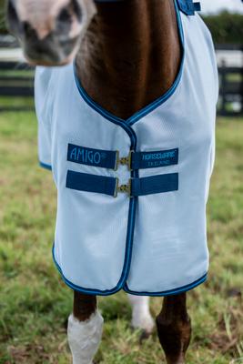 Show full view: Amigo Bug Rug Plus Horse Fly Sheet, Azure Blue with Navy & Electric Blue, 72-in slide 2 of 6