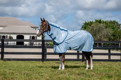 Amigo Bug Rug Plus Horse Fly Sheet, Azure Blue with Navy & Electric Blue, 72-in slide 1 of 6