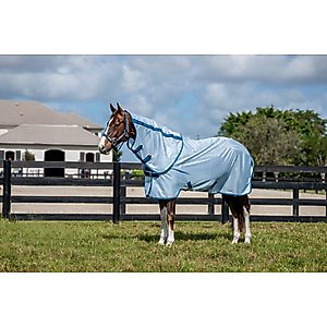 Amigo Bug Rug Plus Horse Fly Sheet, Azure Blue with Navy & Electric Blue, 81-in