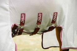 Amigo Bug Buster Vamoose with No Fly Zone Horse Fly Sheet, Silver with Burgundy & White, 84-in slide 2 of 4