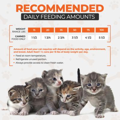 Show full view: Scoochie Pet Chef Scoochies Recipe with Real Chicken Chunks in Savory Gravy Wet Cat Food, 14-oz can, case of 6 slide 5 of 8