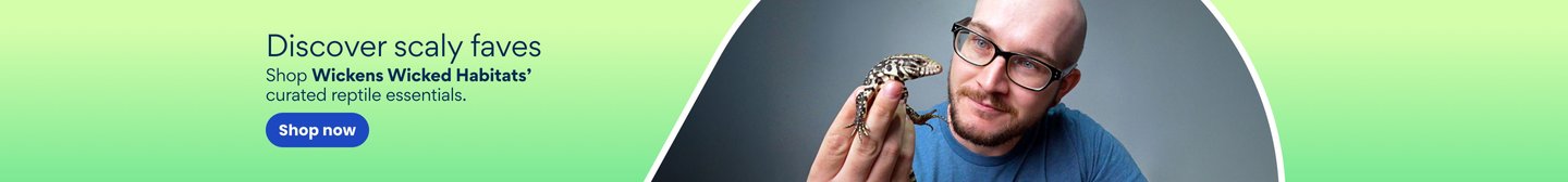 Discover scaly faves shop wickens wicked habitats' curated reptile essentials shop now