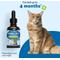 Show in main carousel: Pet Wellbeing Hairball GOLD Liquid Hairball Control Supplement for Cats, 2-oz bottle slide 6 of 9