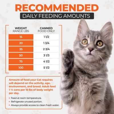 Show full view: Scoochie Pet Chef Scoochies Recipe with Real Seafood Chunks in Savory Gravy Wet Cat Food, 14-oz can, case of 6 slide 5 of 8