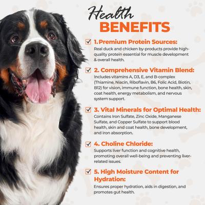 Show full view: Scoochie Pet Chef Scoochies Recipe Real Duck & Chicken in Savory Gravy Wet Dog Food, 14-oz can, case of 6 slide 8 of 8