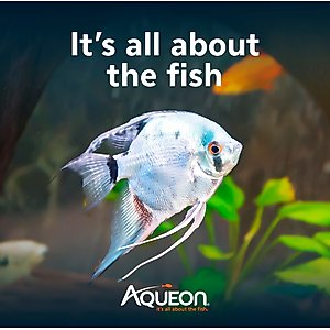 Aqueon Smart Clean Filtration LED Fish Aquarium Starter Kit, 10-gal
