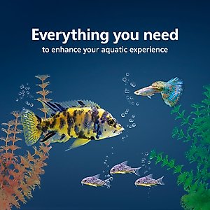 Aqueon Smart Clean Filtration LED Fish Aquarium Starter Kit, 10-gal