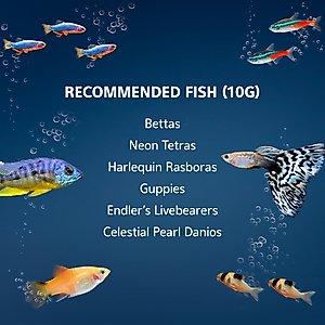 Aqueon Smart Clean Filtration LED Fish Aquarium Starter Kit, 10-gal