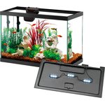 Best Glass Aquariums