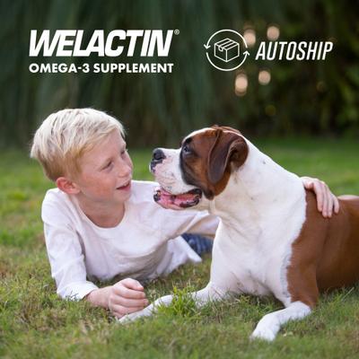 Show full view: Nutramax Welactin Daily Omega-3 Soft Chews Skin & Coat Supplement for Dogs, 60 count slide 10 of 12
