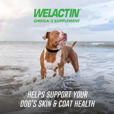 Show full view: Nutramax Welactin Daily Omega-3 Soft Chews Skin & Coat Supplement for Dogs, 60 count slide 3 of 12