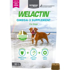 Chew + Heal Omega Skin + Coat Dog Supplement