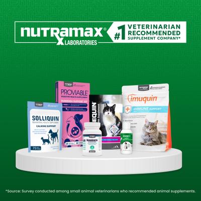 Show full view: Nutramax Welactin Omega-3 Fish Oil Liquid Skin & Coat Supplement for Cats, 4-fl oz slide 8 of 11