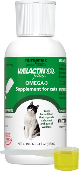 Supplement Nutramax Welactin For Dogs Supplements Chewy Welactin