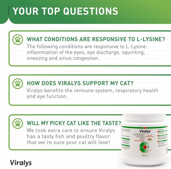 Show full view: Vetoquinol Viralys Powder Immune Supplement for Cats, 3.5-oz slide 5 of 10