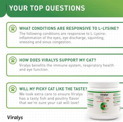 Vetoquinol Viralys Powder Immune Supplement for Cats